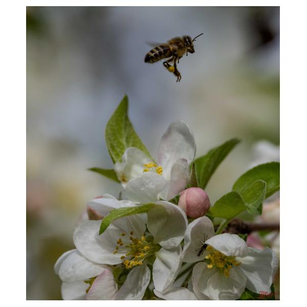 PHOTO84, CLUB, 84 , LUBERON